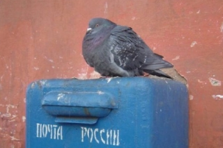 Начальник филиала "Почты России" присвоила более 300 тысяч рублей