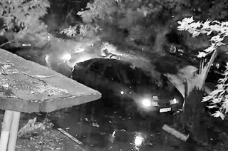 На Перспективной тополь упал на три машины. Видео