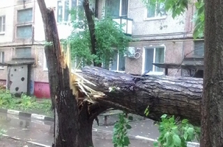 Синоптики предупреждают саратовцев об опасных порывах ветра