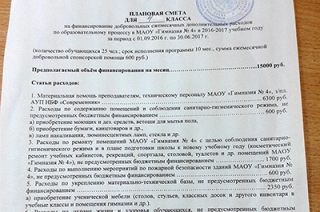 Сборы с родителей в гимназии №4. Комментарий директора Татьяны Абакумовой
