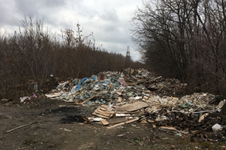 Горожане просят убрать свалку с территории будущего парка