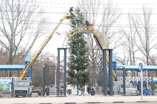 В сквере Дружбы народов установили 15-метровую елку