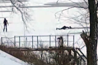 Житель Энгельса спас провалившихся под лед собак. Видео
