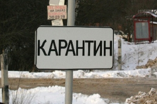 Губернатор отменил карантин по бешенству на Сосновых улицах в Марксе