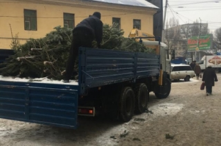 С проспекта Энтузиастов вывезены 300 "зеленых красавиц"
