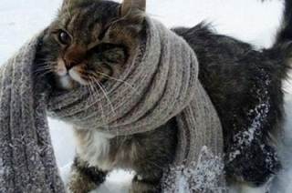 Новогодние каникулы. Оттепель сменят 25-градусные морозы