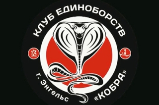 Клуб единоборств "Кобра" вышел в финал всероссийского интернет-конкурса