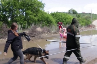 Видеосюжет. Социальные флешмобы как способ диалога народа с властью