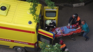 В центре Саратова на женщину упало дерево