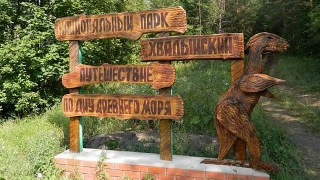Тысячи жителей Хвалынска и национальный парк остались без воды