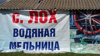 В селе Лох объявлен карантин по АЧС