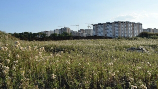 В Саратове продолжатся жаркие выходные