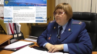 16 руководителей школ и детсадов представили неверные отчеты о доходах