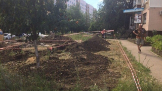Очевидец: в Юбилейном безжалостно вырубают деревья