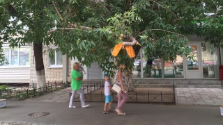 Надломленное дерево в центре Саратова обвешали предупреждениями