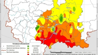 Авиалесохрана: "В Саратовской области бушуют травяные пожары"