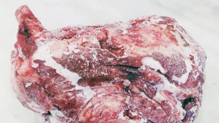 "Дикое" мясо в кафе. Браконьеры продолжают свою деятельность