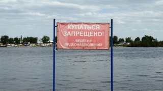Чиновники жалуются на уворачивающихся от камер пловцов-нарушителей