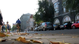 Саратовцев ждет теплый день без дождя