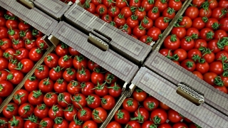 Саратовцев просят сообщать о "санкционных" товарах на прилавках магазинов