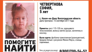 Саратовские волонтеры ищут 5-летнюю девочку в Волгоградской области