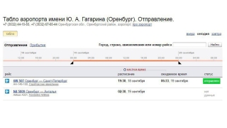 Пассажирам рейса "Саратовских авиалиний" пришлось ждать вылета 11 часов