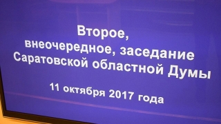 Сформирован состав комитетов Саратовской областной думы