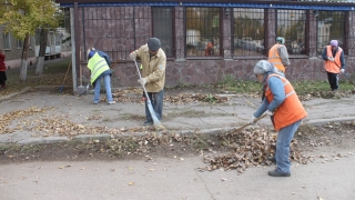 На субботнике в Энгельсе убрано 6 тысяч кубометров мусора