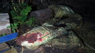 Двойное убийство в Энгельсе. Возбуждено уголовное дело