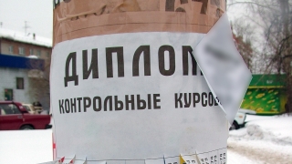 Минобрнауки планирует запретить рекламу услуг по написанию дипломов