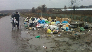 Общественники обнародовали гражданское расследование о Денисе Фадееве