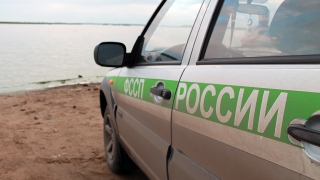 Судебные приставы отмечают профессиональный праздник