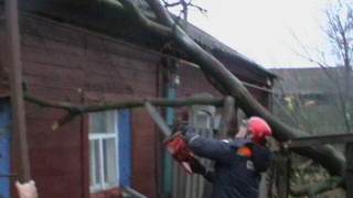 От порывов ветра дерево рухнуло на крышу дома