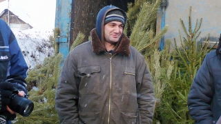 Владелец незаконного елочного базара: "Как будто я совершил преступление"
