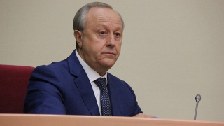 Жители Саратовской области могут свободно собирать валежник с 15 ноября