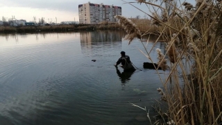 Из пруда в Энгельсе спасатели достали тело утопленника