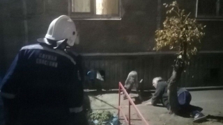В Комсомольском поселке агрессивная собака не подпускала врачей к хозяйке