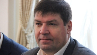 Глава района о спиле деревьев на Московской: "Решение коллегиальное"