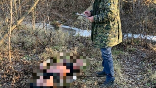 Пьяный саратовец упал с моста и утонул в реке глубиной 30 сантиметров