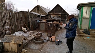 Жена нашла во дворе труп полуголого саратовца
