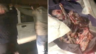 На трассе под Саратовом погоня за браконьерами закончилась массовым ДТП