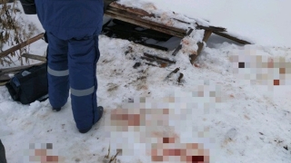 Под Саратовом сторож застрелил напарника и спрятал труп в погреб