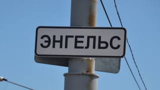 В Энгельсском районе выявлен второй случай бешенства животных