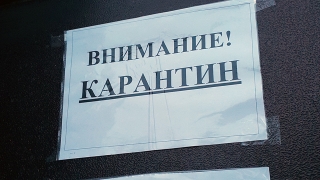 Завтра все школы Саратова закрываются на недельный карантин