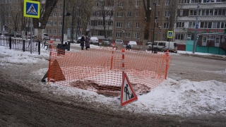 Имущество "КВС" используют под рассаду огурцов