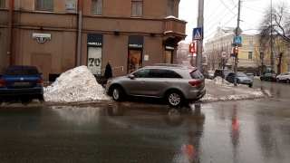 Автохам на "Sorento" заплатит штраф после беседы с полицией
