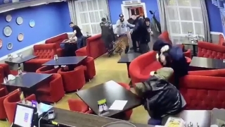 Трое стрелков из кафе "Алладин Халял" признали свою вину