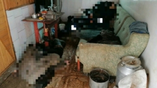 В Новобурасском районе при загадочных обстоятельствах скончались двое рабочих