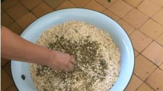 Ртищевских детсадовцев кормили кашей из сомнительной крупы