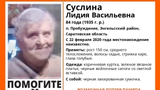 Волонтеры начали поиски 84-летней Лидии Суслиной